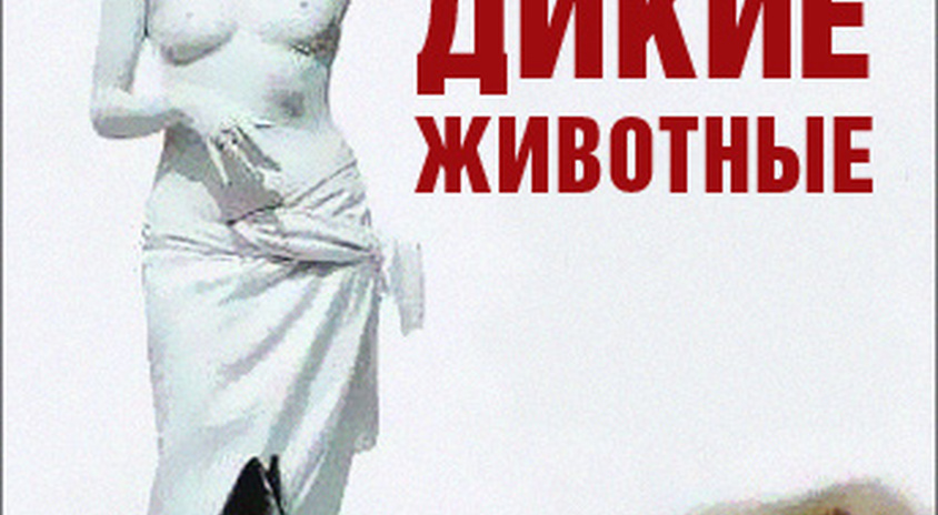 Дикие Животные Фото И Описание Дикие Животные Фото И Описание